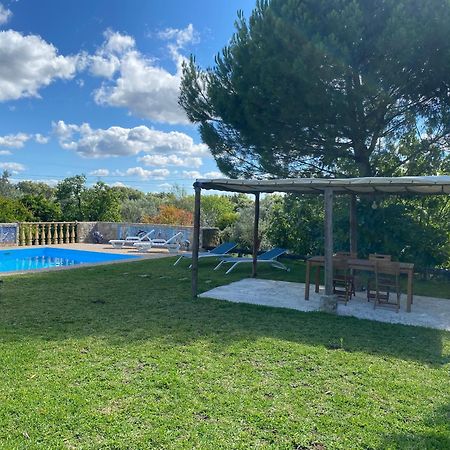 Casa Da Eira - Villas De Campo Ferreira do Zezere Luaran gambar